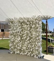 IMG 0790 1722115163 BABY'S BREATH & ROSE FLOWER WALL